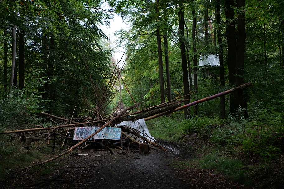 Besetzung des Dannenröder Forsts bei Marburg mit Baumhäusern als Protest gegen den Bau der A49 durch den Wald am 8. Oktober 2020.