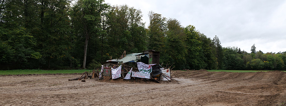Besetzung des Dannenröder Forsts bei Marburg mit Baumhäusern als Protest gegen den Bau der A49 durch den Wald am 8. Oktober 2020.