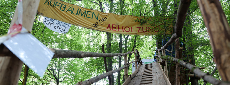 ProtestCamp im Dannenröder Wald, August 2020.
