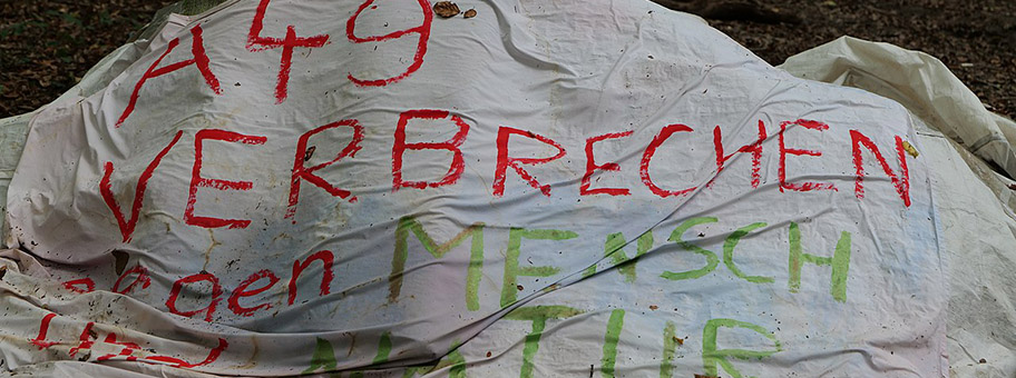 Besetzung des Dannenröder Forsts bei Marburg mit Baumhäusern als Protest gegen den Bau der A49 durch den Wald, August 2020.