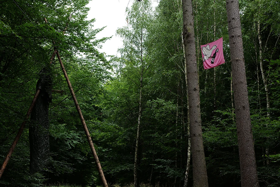 Besetzung des Dannenröder Forsts bei Marburg, August 2020.