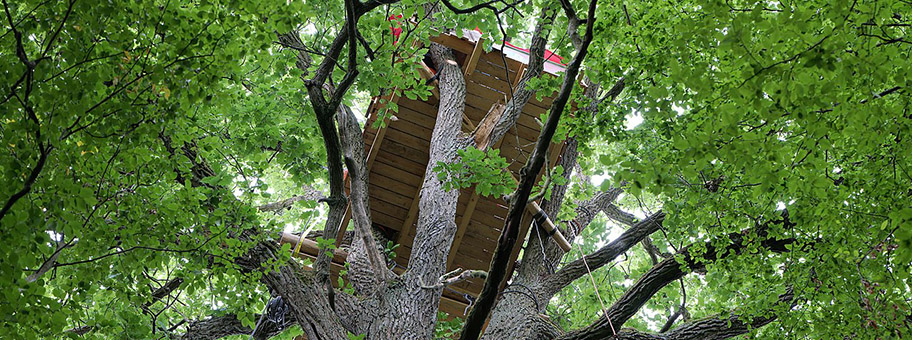 Plattform im Dannenröder Wald, August 2020.