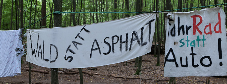 Besetzung des Dannenröder Forsts bei Marburg mit Baumhäusern als Protest gegen den Bau der A49 durch den Wald am 21. August 2020.