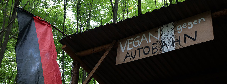 Besetzung des Dannenröder Forsts bei Marburg mit Baumhäusern als Protest gegen den Bau der A49 durch den Wald, August 2020.