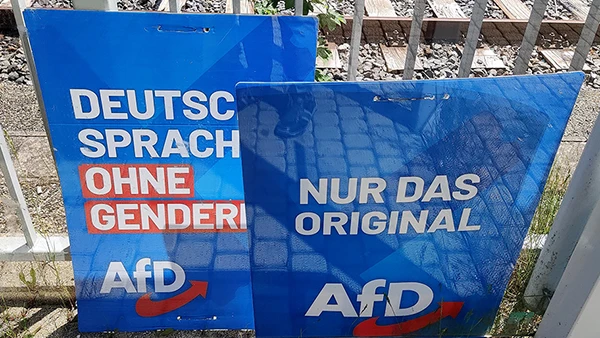 Heruntergerissene AfD-Plakate in Sachsen, Mai 2024.