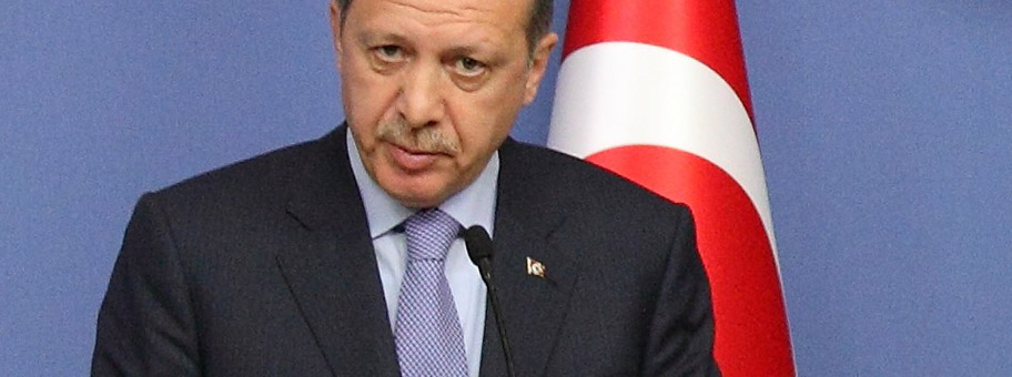 Erdoganim November 2012.