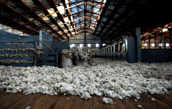 Grenzen der Effizienzstrategie.