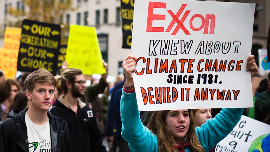Klimademo in Washington, November 2015.