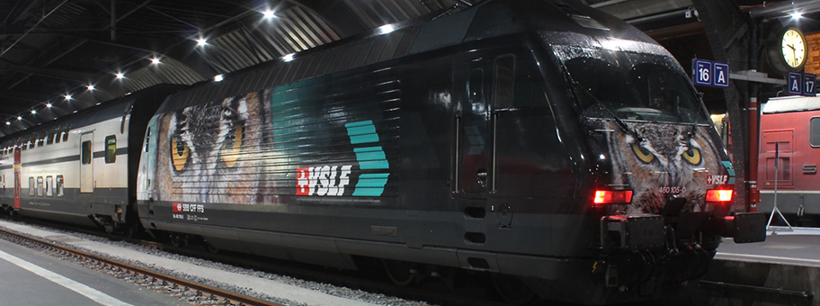 Wird die Zugstrecke Zürich-Bern dank dem Freihandelsabkommen TiSA bald privatisiert? Intercity der SBB nach Bern im Zürcher Hauptbahnhof.