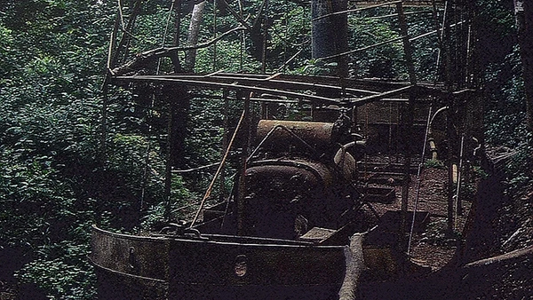Der Flussdampfer aus dem Werner-Herzog-Film «Fitzcarraldo» mit Klaus Kinski führt heute ein Schattendasein im Dschungel in der Region Madre de Dios.