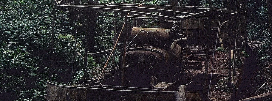 Der Flussdampfer aus dem Werner-Herzog-Film «Fitzcarraldo» mit Klaus Kinski führt heute ein Schattendasein im Dschungel in der Region Madre de Dios.