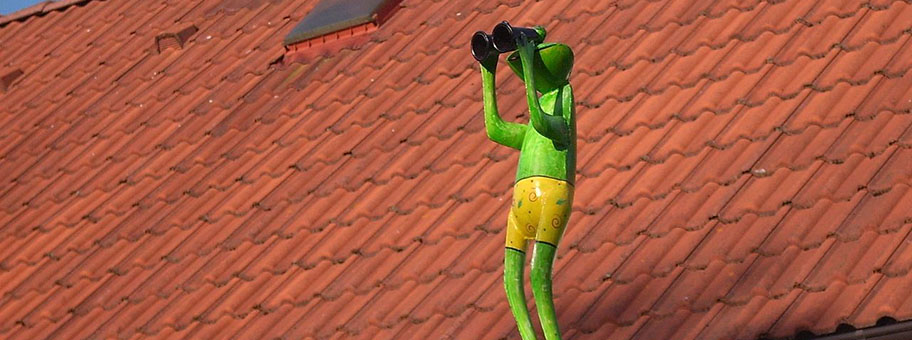 Froschfigur auf Hofmauer in Dörgenhausen, Ortsteil von Hoyerswerda.