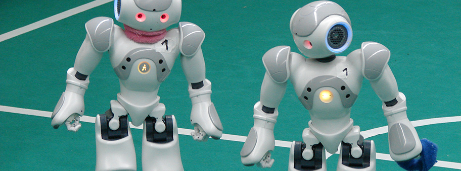 HTWK Leipzig - Nao-Team.