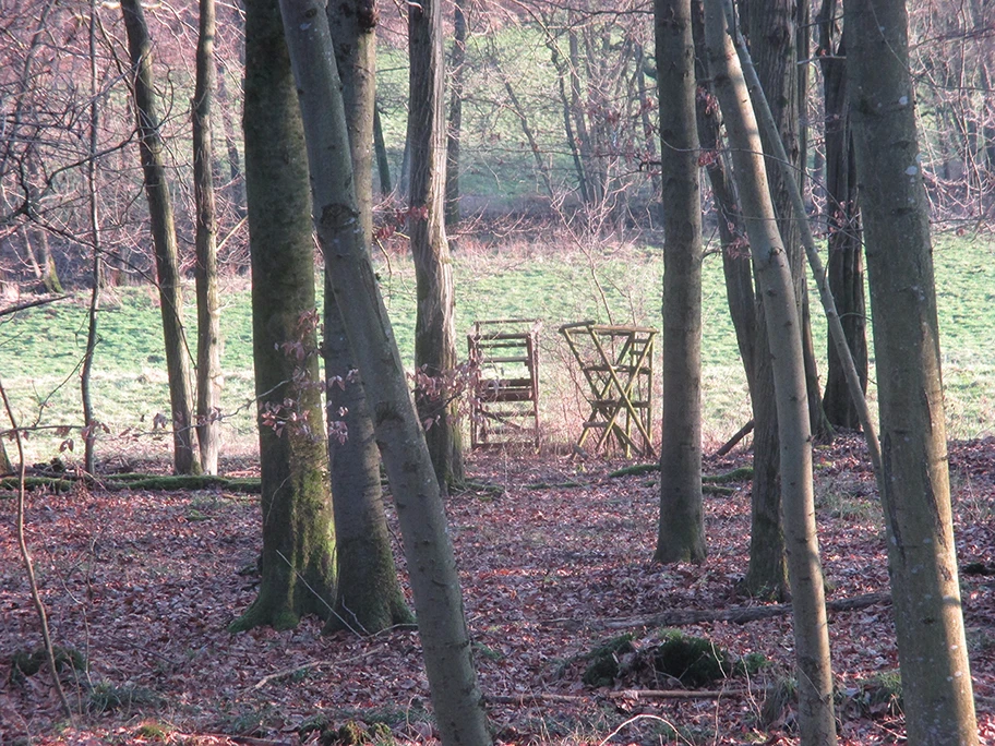 Der Waldmensch (Zweiter Teil)