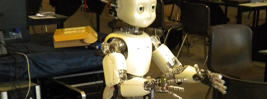 Der Roboter iCub in der Entwicklungsumgebung.