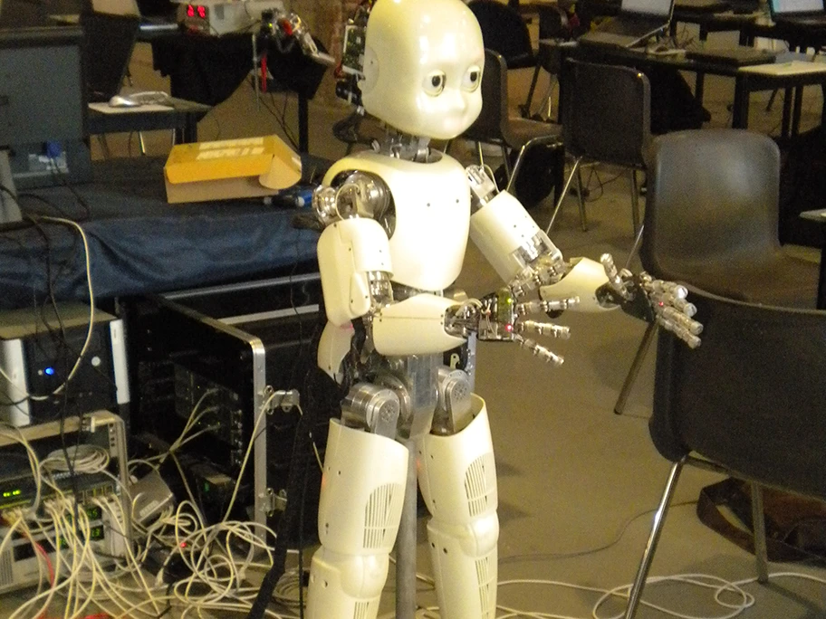 Der Roboter iCub in der Entwicklungsumgebung.