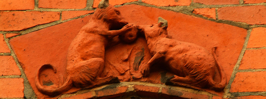 Die Begegnung. Marbachweg/Ecke Eschersheimer.