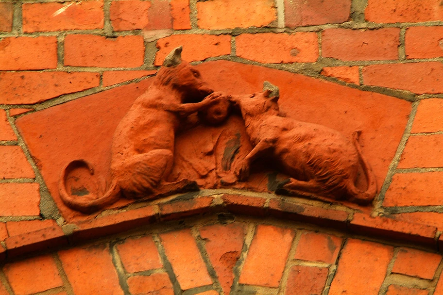 Die Begegnung. Marbachweg/Ecke Eschersheimer.