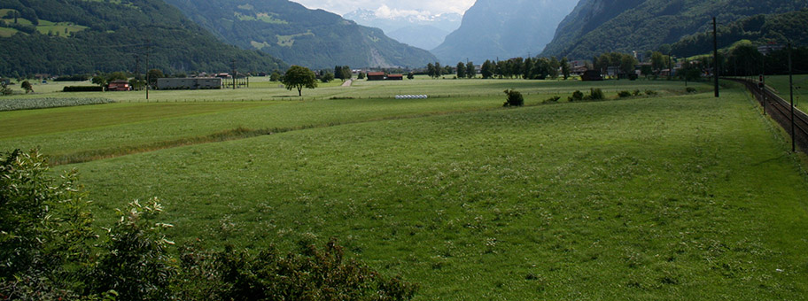 Das Linthtal Richtung Süden.
