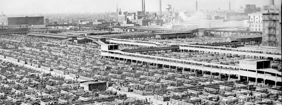 Die berühmt-berüchtigten Schlachthöfe (Union Stock Yards) in Chicago, Illinois, USA.