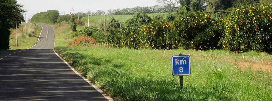 Orangenplantage in der Nähe von São Paulo, Brasilien.