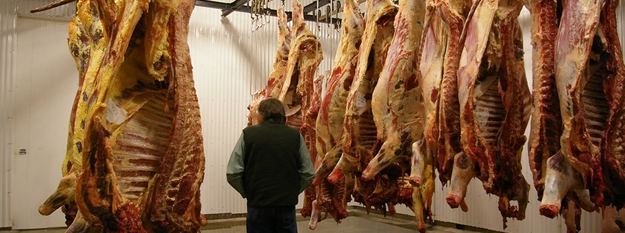 Kühlraum eines Schlacht- und Fleischverarbeitungsbetriebs.