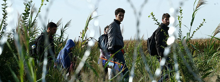 Migranten an der ungarischen Grenze am 25.