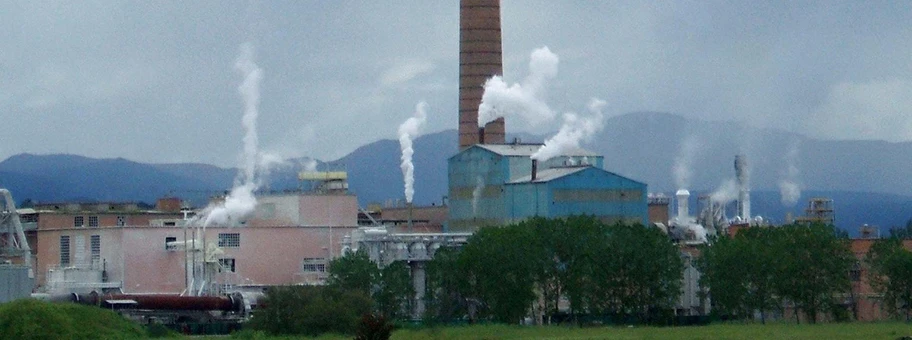 Antigua planta procesadora de pasta de celulosa de fibra corta propiedad del grupo Rottneros (ex FEFASA), en Miranda de Ebro (Burgos, Castilla y León, España)