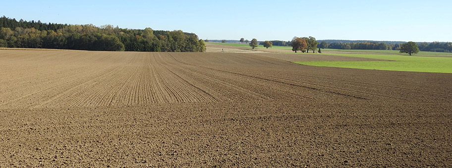 Ackerland bei Römertshofen, Moorenweis.