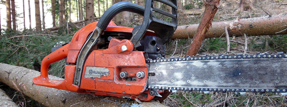 Motorsäge im Wald.