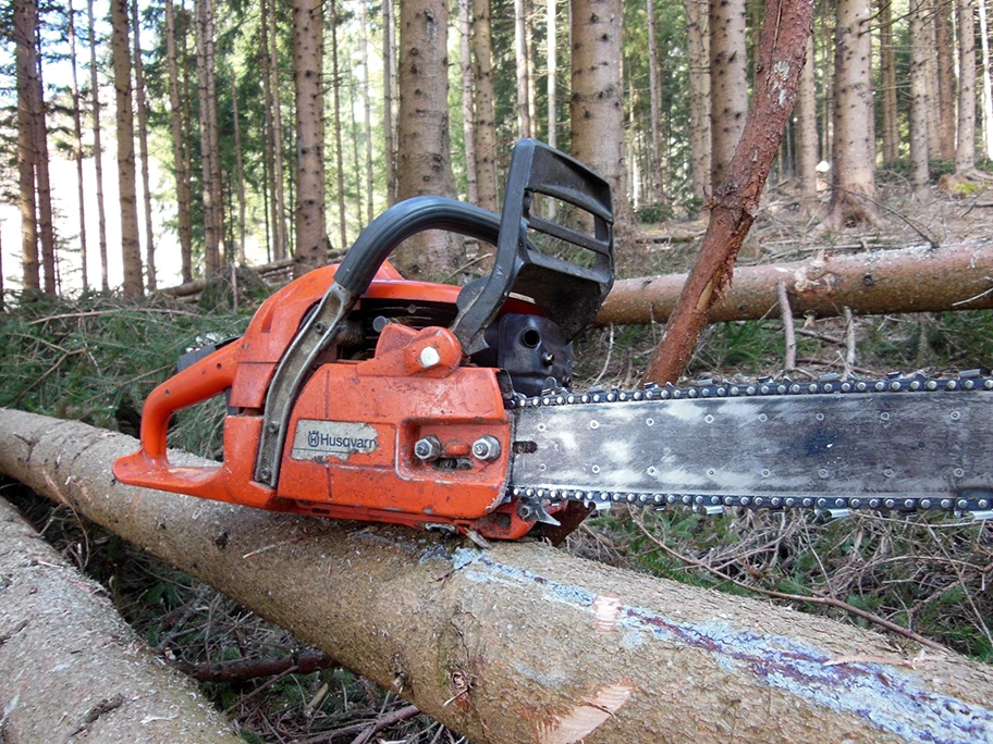 Motorsäge im Wald.