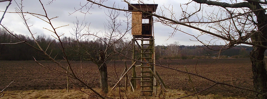 Hochstand in Deutschland.