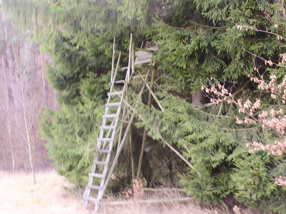 Der Waldmensch (Fünfter Teil)