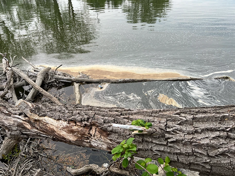 Schaum, der PFAS enthält, entlang der Uferlinie des Huron River in Michigan, 16. Mai 2023.