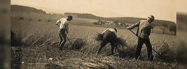 Arbeit zukünftiger Kibbuzim in Betzenrod in Deutschland Mitte der 1920er Jahre.