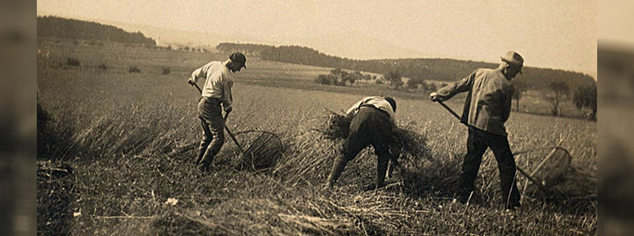 Arbeit zukünftiger Kibbuzim in Betzenrod in Deutschland Mitte der 1920er Jahre.