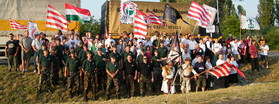 Jobbik-Gruppe in Ungarn am 15. Juli 2011.