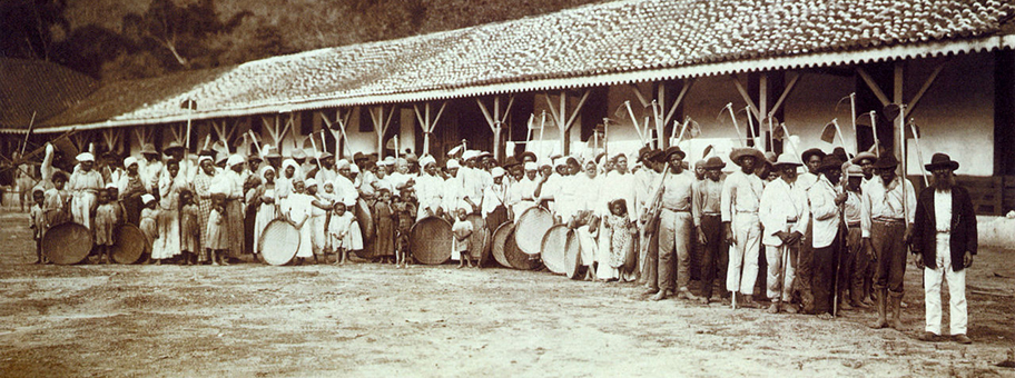 Sklaven auf einer Kaffeefarm in Brasilien im Jahr 1885.