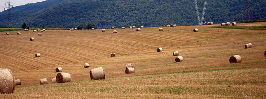 Landwirtschaftsfelder in der Slowakei.