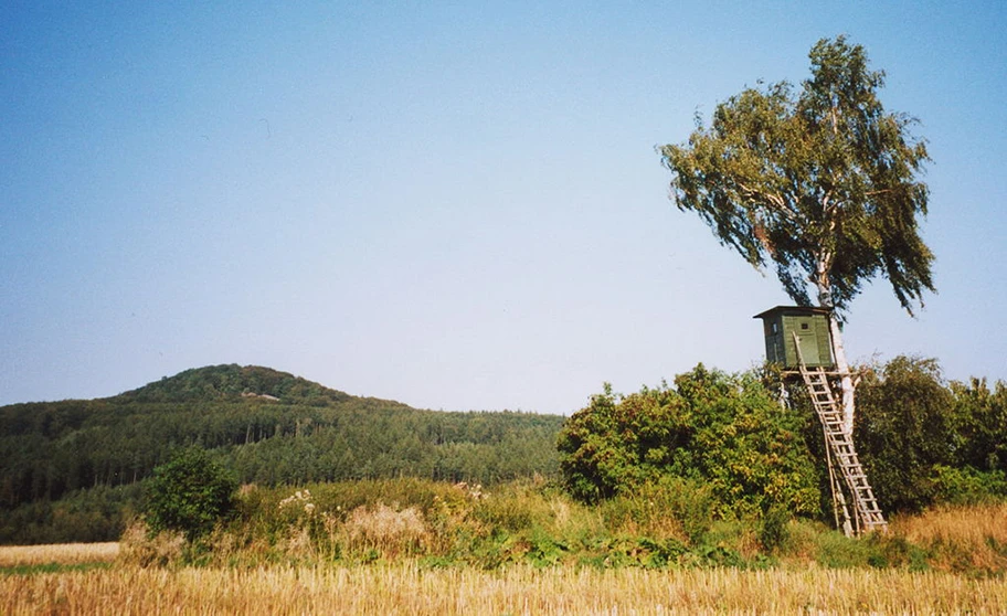 Stopfelskuppe in der Thüringerer Rhön, Deutschland.