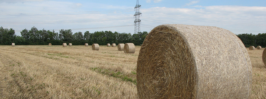 Strohballen neben einer Hochspannungsleitung in Niederösterreich.