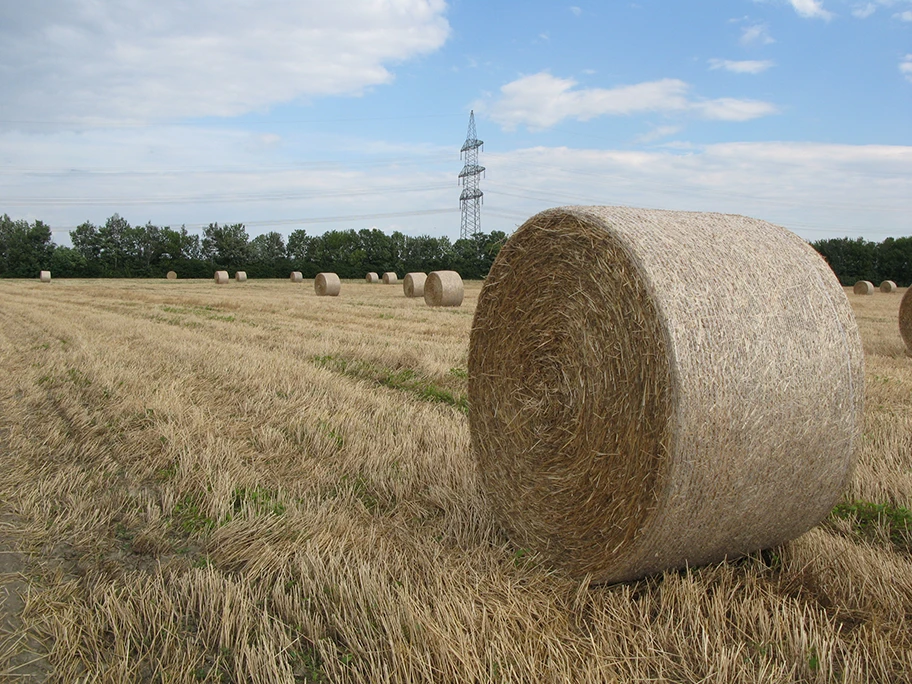 Strohballen neben einer Hochspannungsleitung in Niederösterreich.