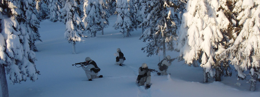 Schwedische Arctic Rangers bei einer Übung im Februar 2008.