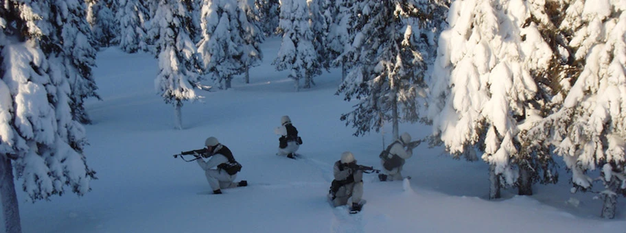 Schwedische Arctic Rangers bei einer Übung im Februar 2008.