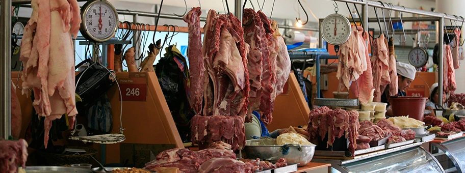 Der Fleischmarkt.