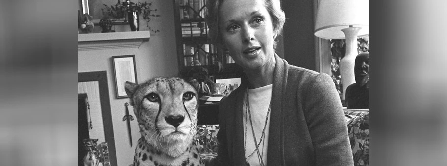 Tippi Hedren mit ihrem als Haustier gehaltenen Geparden Pharao (1974).