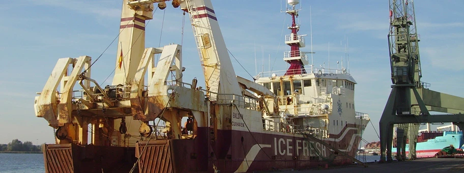 Trawler «Baldvin» der Deutschen Fischfangunion Cuxhaven.