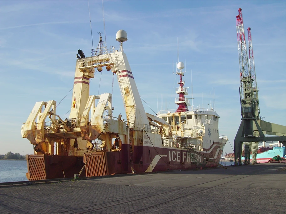 Trawler «Baldvin» der Deutschen Fischfangunion Cuxhaven.