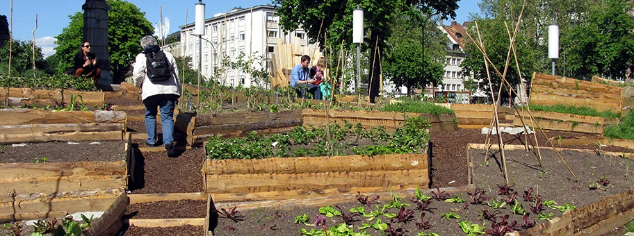 Urban Gardening vor dem Theater in Freiburg.