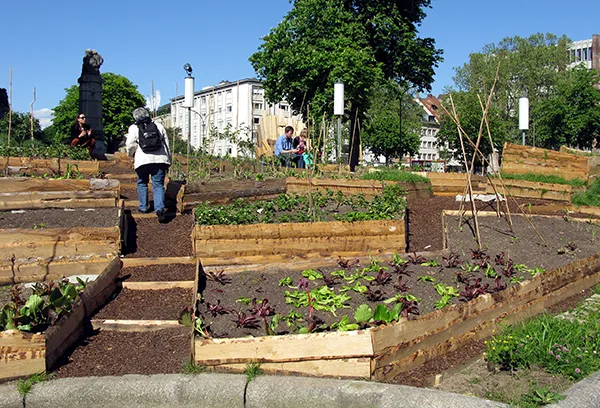 Urban Gardening vor dem Theater in Freiburg.